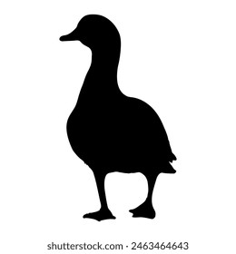 Walking duck silhouette or vector file