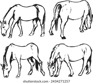 Walking and eating horses sketch. Horses in different views vector drawings. Animals ink artwork group. Wildlife mammal herbivore. 