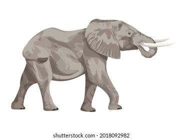 Walking elephant with head tilted up.