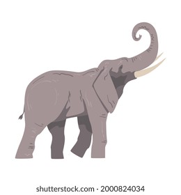 Elefante caminante como gran animal africano con zorrillo, colmillos, pestañas de orejas y vectores de visión lateral de piernas masivas Ilustración