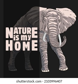 Walking elephant in mother nature in solid colors