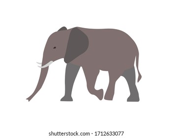 Walking Elephant simple Flat Vector Illustration