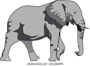 walking elephant with tusk vector illustration