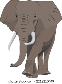 walking elephant with tusk vector illustration