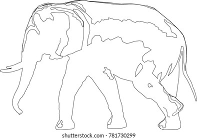 Walking elephant - vector silhouette