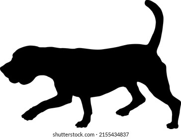 Walking english beagle puppy. Black dog silhouette. Pet animals. Isolated on a white background. Vector illustration.