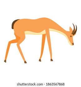 Walking gazelle icon. Cartoon of walking gazelle vector icon for web design isolated on white background