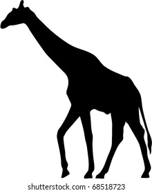 Walking Giraffe Silhouette