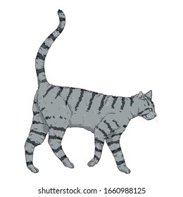 Walking Gray Striped Cat. Vector Cartoon Illustration