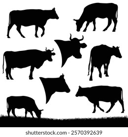 walking, grazing and standing cows - farm animal cattle pasture black and white vector silhouette set