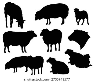 caminhando, pastoreio e rebanho de ovelhas em pé - cena de pastagem animal fazenda vetor preto e branco silhueta conjunto