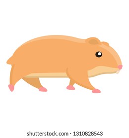 Walking hamster icon. Cartoon of walking hamster vector icon for web design isolated on white background