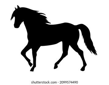 Walking horse black silhouette isolated on white background. Vector illustration for patterns, wrapping paper, coloring page.