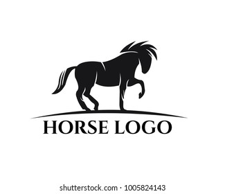 Walking Horse Logo Template Stock Vector (Royalty Free) 1005824143 ...