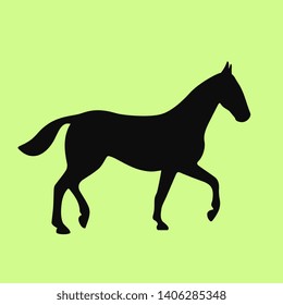 Walking horse vector icon isolated on green background