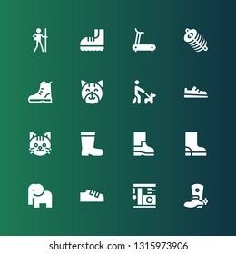 walking icon set. Collection of 16 filled walking icons included Boot, Cat, Shoes, Elephant, Boots, Shoe, Walk, Dung, Treadmill, Hiker