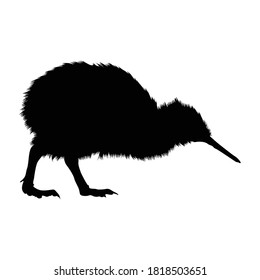 Walking Kiwi Bird (Apteryx australis) On a Side View Silhouette Found In New Zealand. Good To Use For Element Print Book, Animal Book and Animal Content