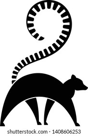 Walking lemur on a white background