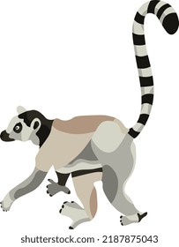 Walking lemur primate animal illustration in graphic style