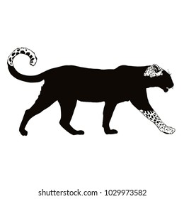 Walking leopard silhouette some parts are in black some in light, vector illustration on a white background