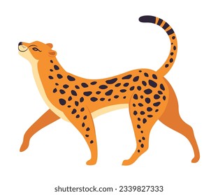 Walking Leopard as Wild Cat with Long Spotted Body Vector Illustration