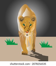 Walking Lioness in The Night in Vector