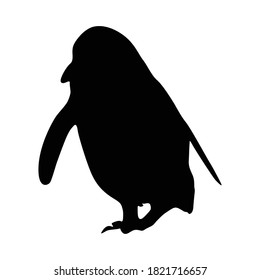 Walking Magellanic Penguin (Spheniscus Magellanicus) On a Front View Silhouette Found In Map Of South America And Africa. Good To Use For Element Print Book, Animal Book and Animal Content