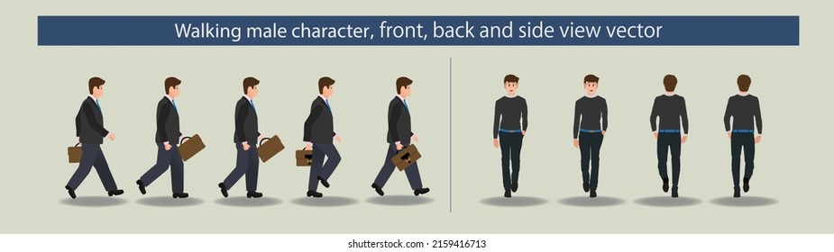 Walking Male Character. Front, back and side view vectors