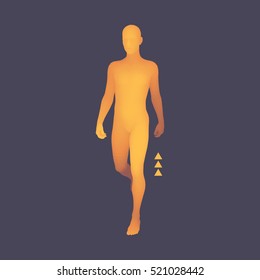 Walking Man. 3D Human Body Model. Design Element. Vector Illustration. 