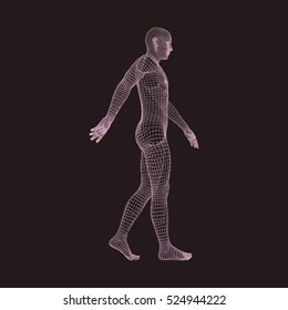 Walking Man. 3D Human Body Model. Geometric Design. Human Body Wire Model.  Vector Illustration.