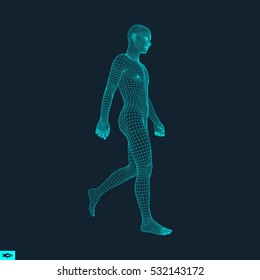 Homem Andando. Modelo 3D de corpo humano. Design geométrico. Modelo de arame corporal humano. Ilustração vetorial.