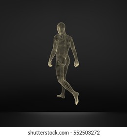 Walking Man. 3D Human Body Model. Geometric Design. Human Body Wire Model.  Vector Illustration. 