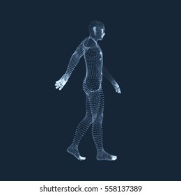 Walking Man. 3D Human Body Model. Geometric Design. Vector Illustration. 