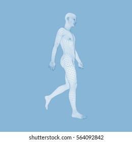 Walking Man. 3D Human Body Model. Geometric Design. Human Body Wire Model.  Vector Illustration.