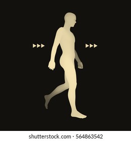 Walking Man. 3D Human Body Model. Design Element. Vector Illustration.