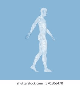 Mann laufen. 3D-Modell des menschlichen Körpers. Geometrisches Design. Human Body Wire Model.  Vektorgrafik.