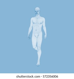 Caminando. Modelo De Cuerpo Humano 3D. Diseño Geométrico. Modelo de cable corporal humano.  Ilustración vectorial. 
