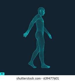 Walking Man. 3D Human Body Model. Geometric Design. Human Body Wire Model.  Vector Illustration.