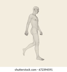 Walking Man. 3D Human Body Model. Geometric Design. Human Body Wire Model.  Vector Illustration.