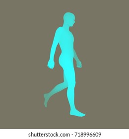Caminando. Modelo De Cuerpo Humano 3D. Elemento de diseño. Ilustración vectorial.