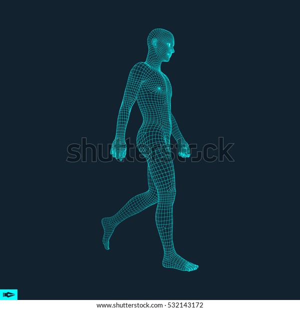 ウォーキングマン 3d人体モデル 幾何学的設計 人体ワイヤモデル ベクターイラスト のベクター画像素材 ロイヤリティフリー