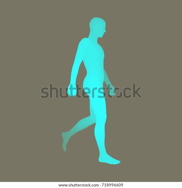 Walking Man. 3D Human Body Model. Design\
Element. Vector\
Illustration.