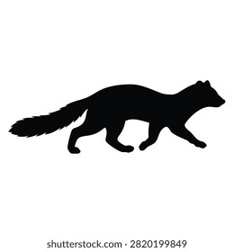 Walking marten silhouette vector flat illustration design.