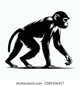 Walking Monkey Silhouette Vector - Detailed Primate Illustration