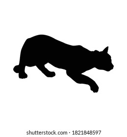 Walking Mountain Lion (Felis Concolor) On a Side View Silhouette Found In Map Of Central, North And South America. Good To Use For Element Print Book, Animal Book and Animal Content