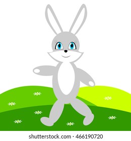 walking on meadow Bunny