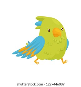 Walking parrot with shiny eyes. Bird character with bright green and blue feathers. Flat vector design