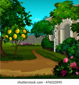 Walking paths in the garden of paradise. Vector illustration.