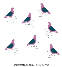 Walking pigeons pattern. Pigeons . Pigeons pattern