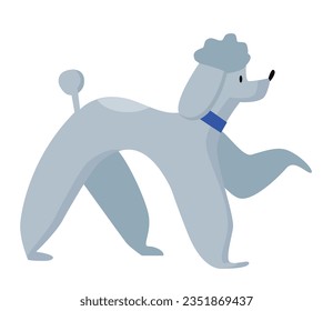 Perro de cangrejo. Raza de garrapatas domésticas, ilustración vectorial de mascotas de familia esponjosa